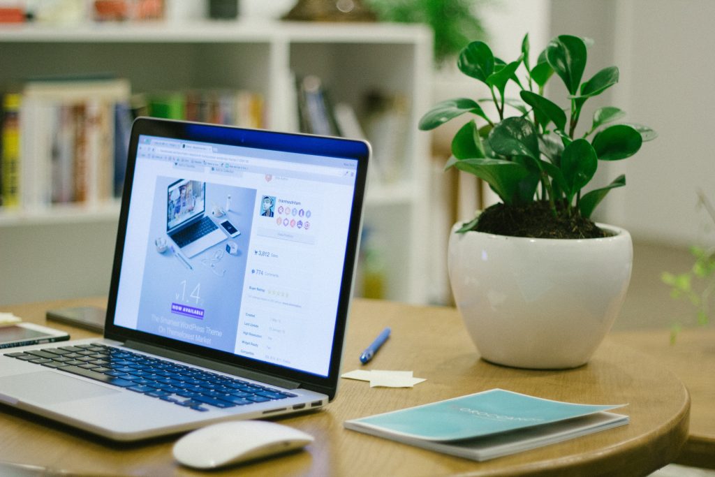 laptop on table in front of plant with website product page instead of physical store
