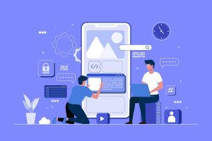 Custom Software versus Packaged Software Application Developers
