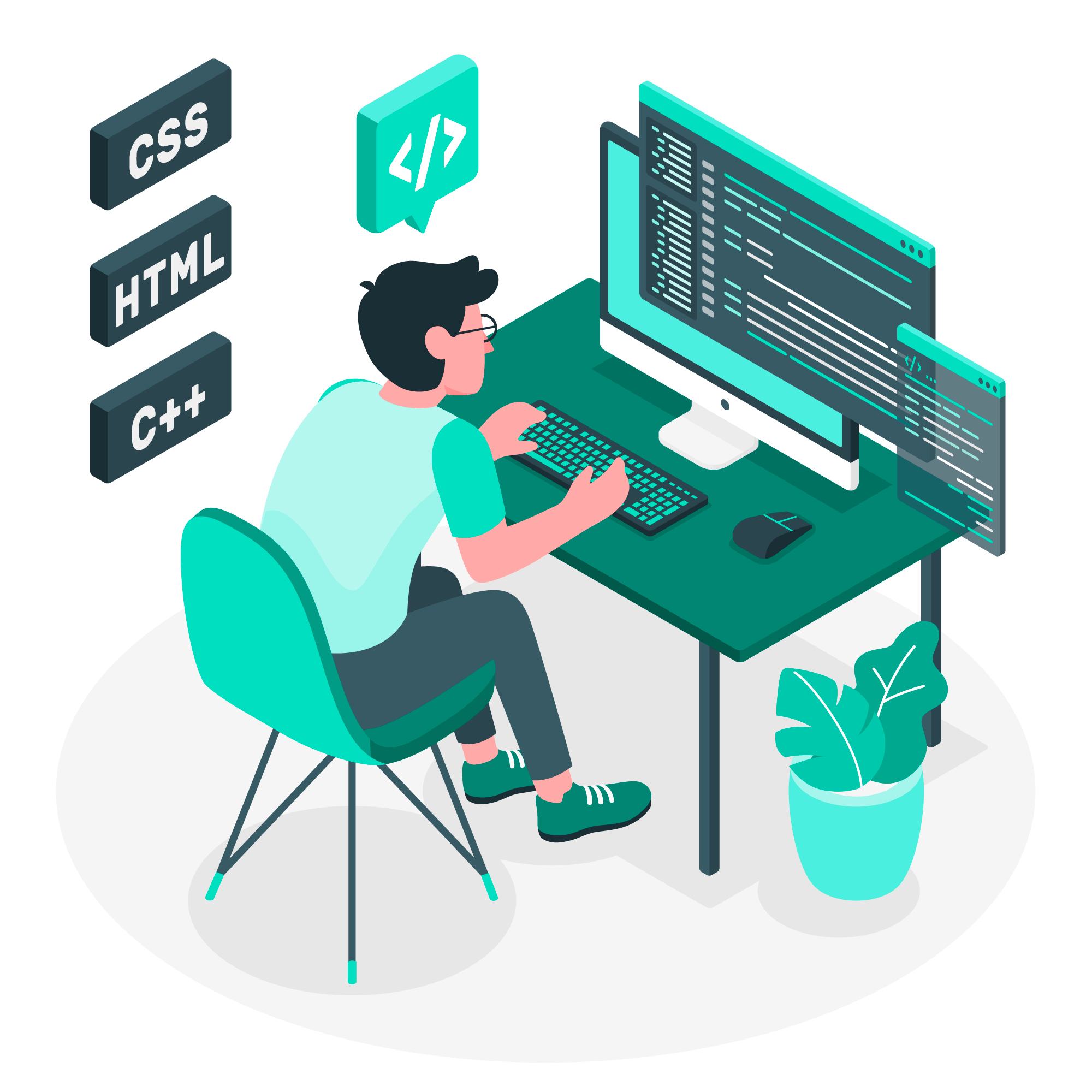 Software Development Team Roles and Responsibilities Web Developer Coding