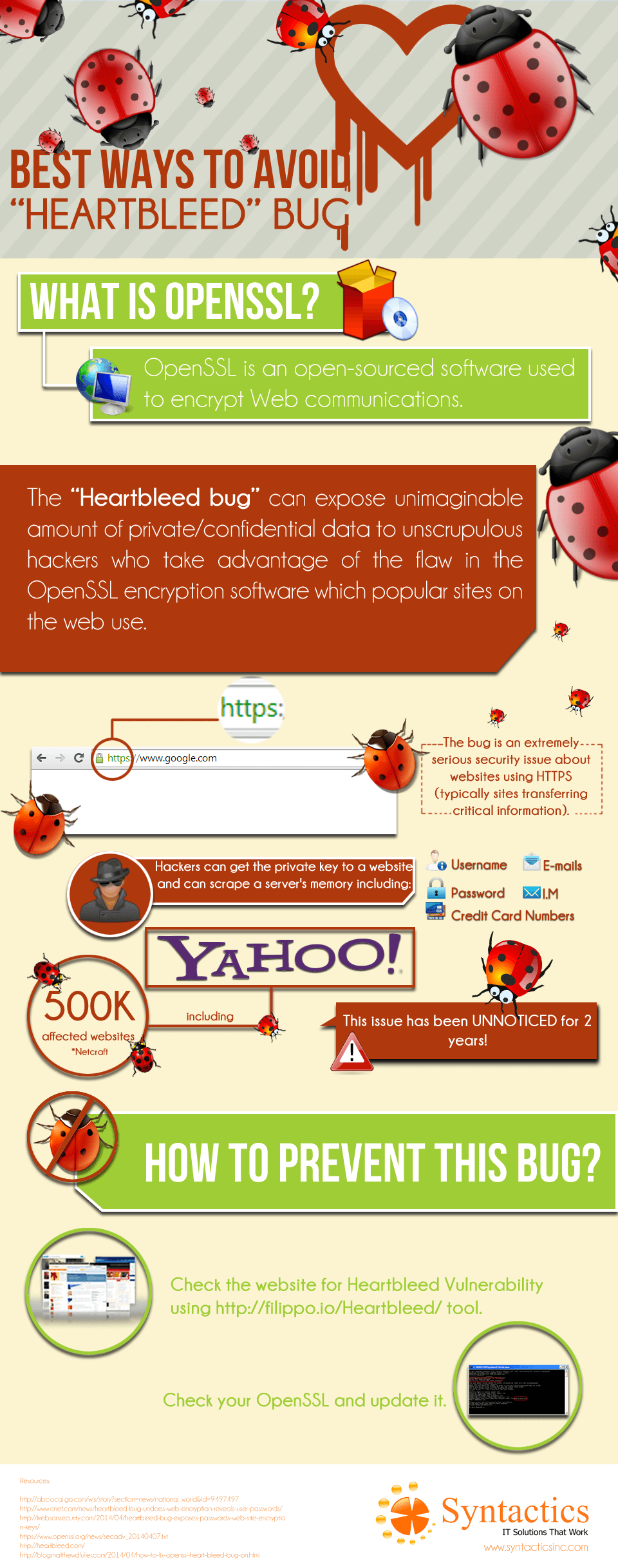 HeartBleedBug Infographics