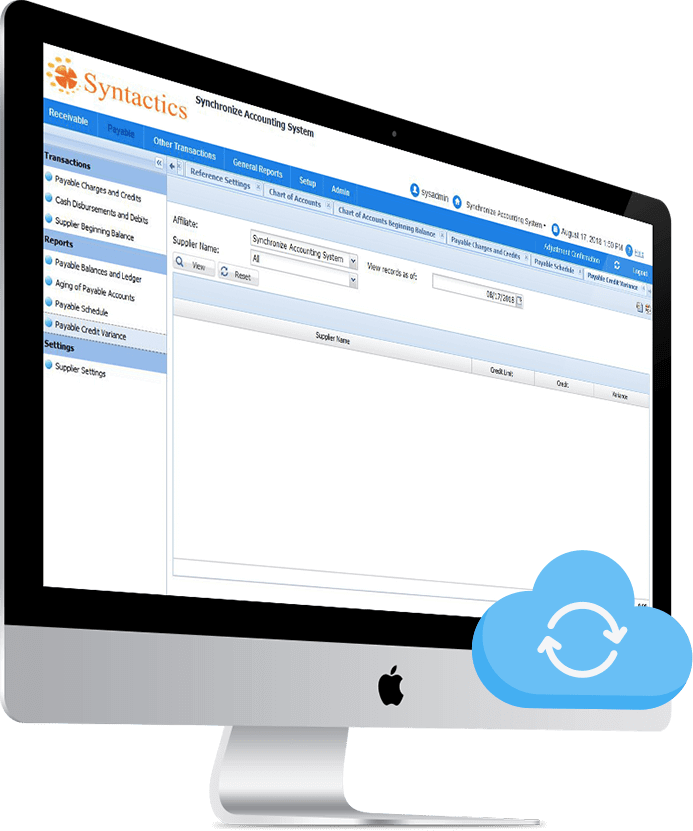 Synchronized Accounting System Overview-min