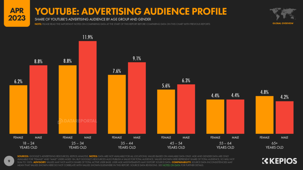 YouTube Audience Profile