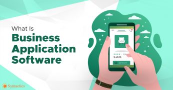 What is Business Application Software