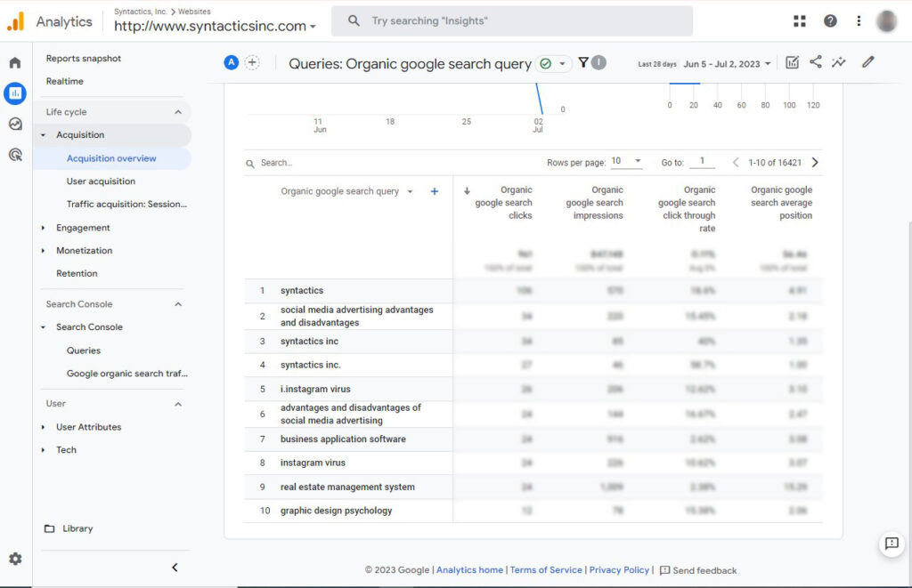 Organic Search Query Syntactics Screenshot (1)