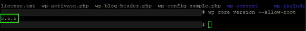 WP CLI Check WP Version