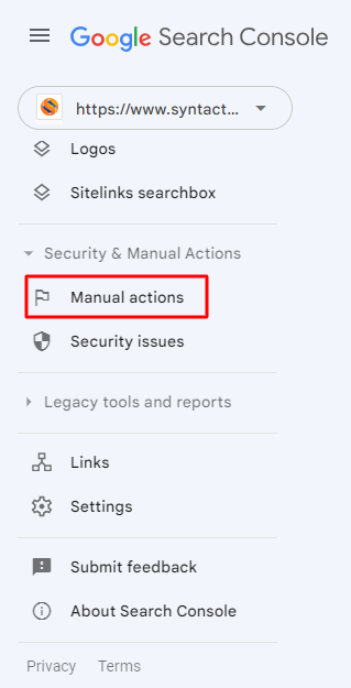 Google Search Console Manual Actions Section