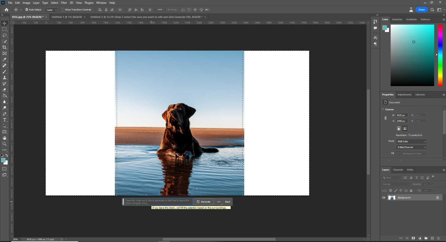 The Photoshop AI Generative Fill Tool - Syntactics Inc.