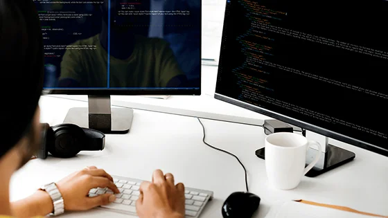 Frontend Developers