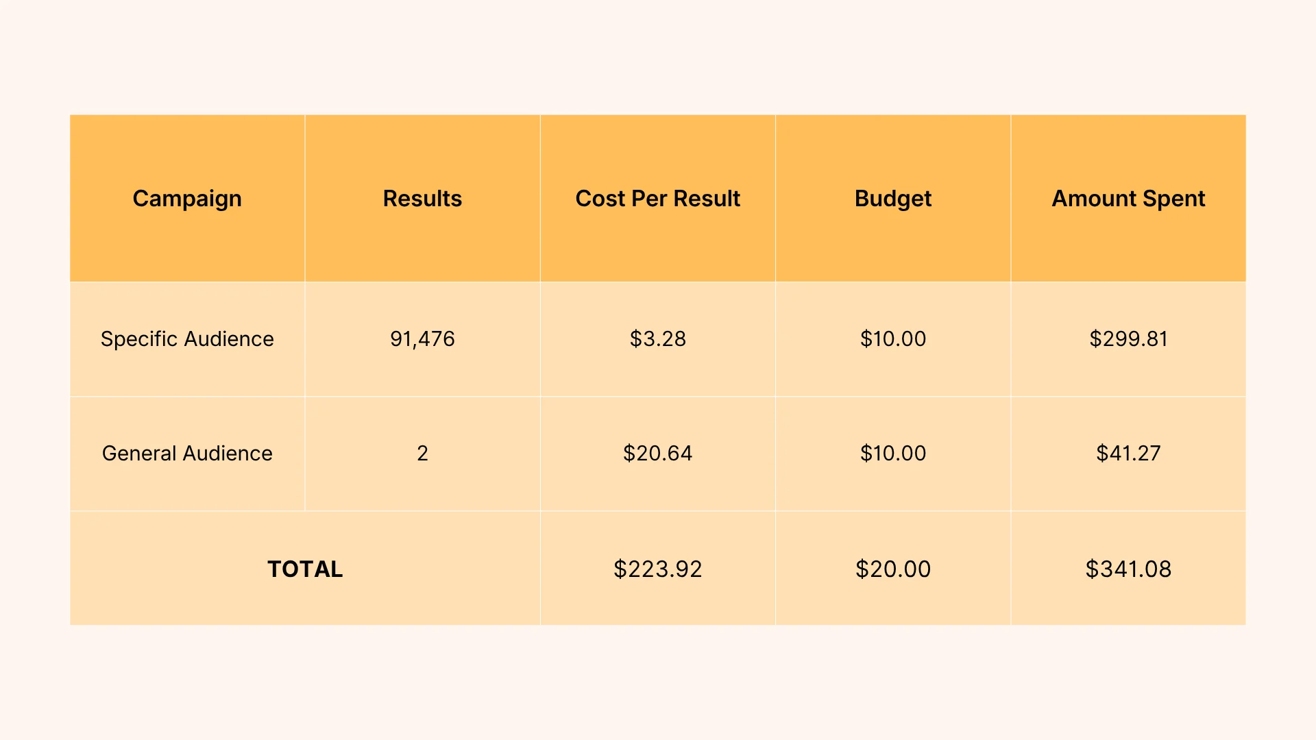 Meta Ads Campaign Result
